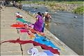 Rivière au abord du village de Srirangapatna. Pendant que certains lavent le linge, la vaisselle ou eux même...  (4)