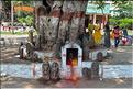 ... d'autre comme les prêtres Brahmane officient... Rivière au abord du village de Srirangapatna. (1)