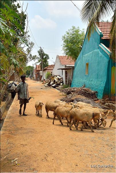 Village au portes du Temple de Somathpur. (5)