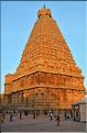 Le temple de Brihadishvara de Thanjavur date du X ème siècle. (5)