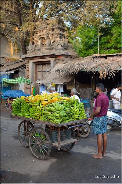 Le marché de Thanjavur. (3)