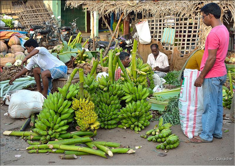 Le marché de Thanjavur. (4)