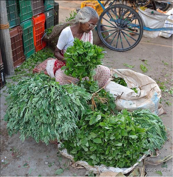 Le marché de Thanjavur. (5)