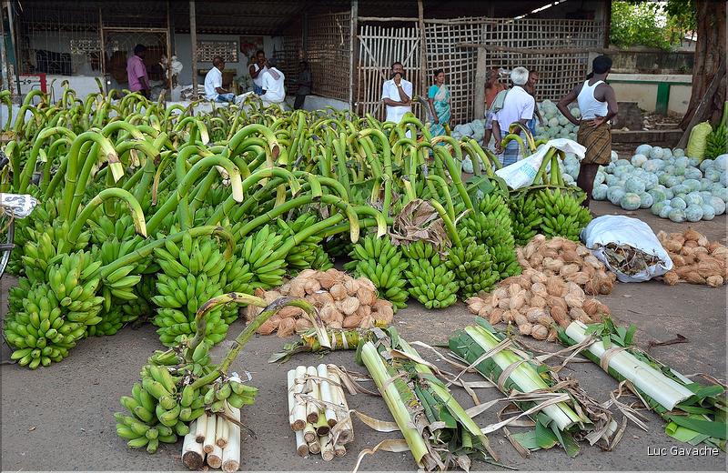Le marché de Thanjavur. (7)