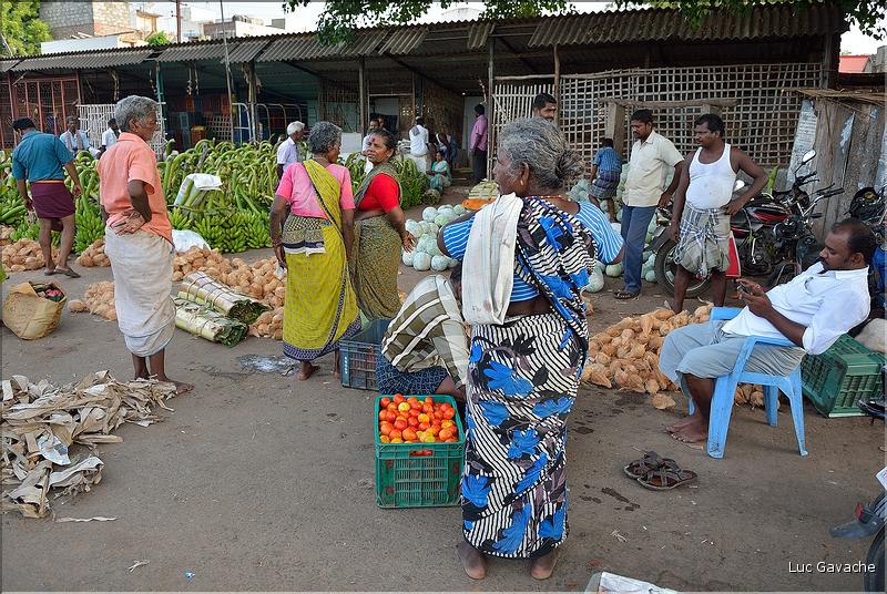 Le marché de Thanjavur. (8)