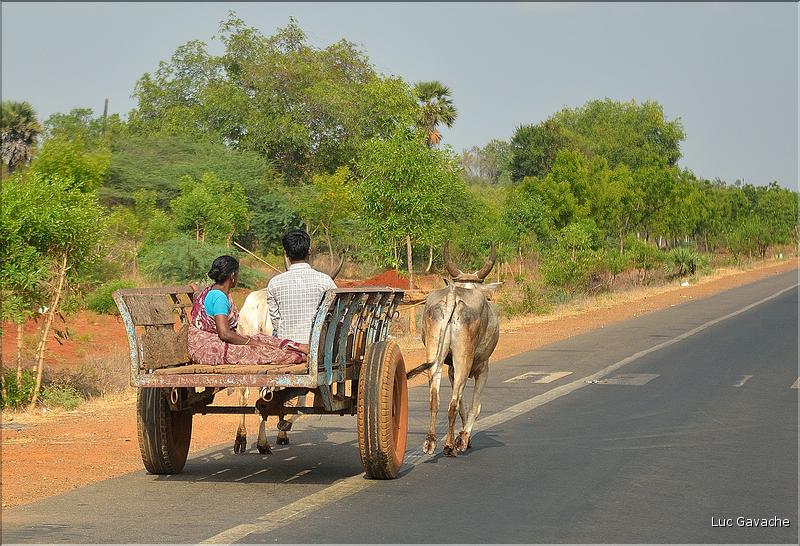 En route vers la ville de Trichy. (4)