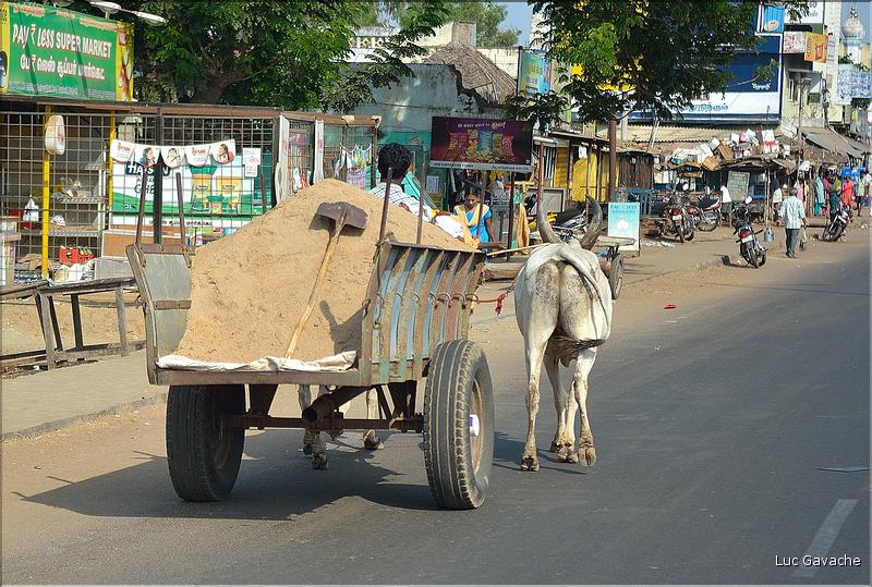 En route vers la ville de Trichy. (5)