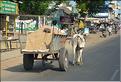 En route vers la ville de Trichy. (5)