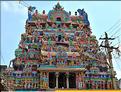 Jour de pèlerinage au Temple de Srirangam à Trichy. (2)