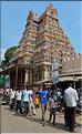 Jour de pèlerinage au Temple de Srirangam à Trichy. (5)