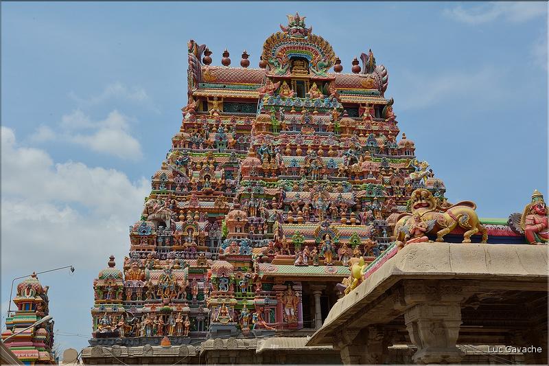 Jour de pèlerinage au Temple de Srirangam à Trichy. (7)
