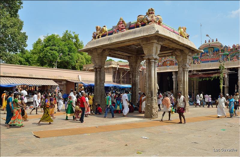 Jour de pèlerinage au Temple de Srirangam à Trichy. (10)