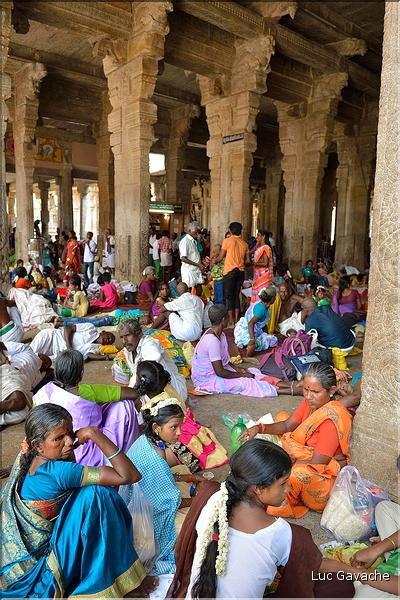 Jour de pèlerinage au Temple de Srirangam à Trichy. (11)