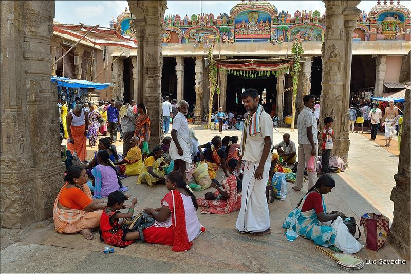 Jour de pèlerinage au Temple de Srirangam à Trichy. (14)