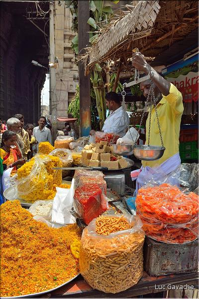 Jour de pèlerinage au Temple de Srirangam à Trichy. (15)