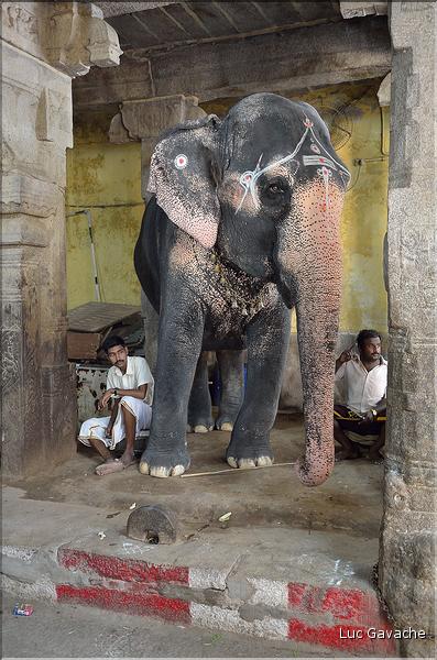 Bénédiction des pèlerins se rendant au temple de Ganesh au Rock Fort de Trichy. (1)
