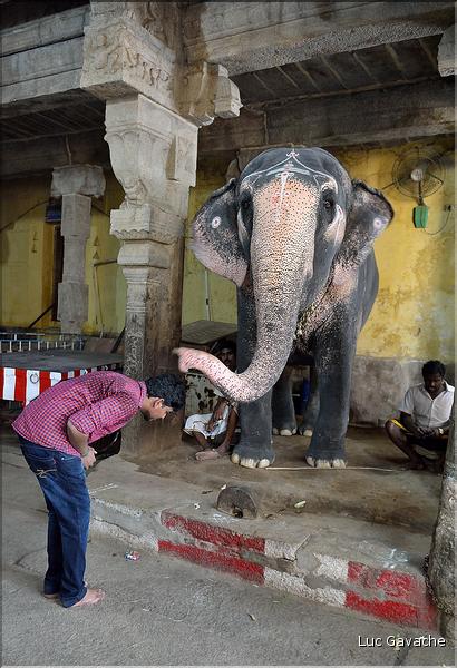 Bénédiction des pèlerins se rendant au temple de Ganesh au Rock Fort de Trichy. (3)