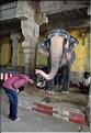 Bénédiction des pèlerins se rendant au temple de Ganesh au Rock Fort de Trichy. (3)