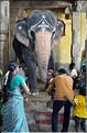 Bénédiction des pèlerins se rendant au temple de Ganesh au Rock Fort de Trichy. (4)