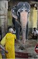 Bénédiction des pèlerins se rendant au temple de Ganesh au Rock Fort de Trichy. (6)