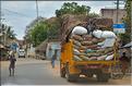Sur la route entre Thanjavur et Madurai. (2)
