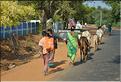 Sur la route entre Thanjavur et Madurai. (3)