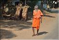 Sur la route entre Thanjavur et Madurai. (7)