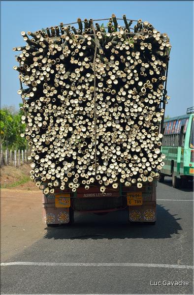 Sur la route entre Thanjavur et Madurai. (13)