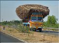 Sur la route entre Thanjavur et Madurai. (15)