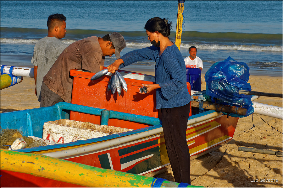 3 Les porteurs et les vendeuses prennent alors le poisson en charge... (Jimbaran). (2)