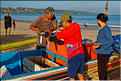 3 Les porteurs et les vendeuses prennent alors le poisson en charge... (Jimbaran). (3)