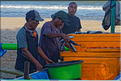 3 Les porteurs et les vendeuses prennent alors le poisson en charge... (Jimbaran). (5)
