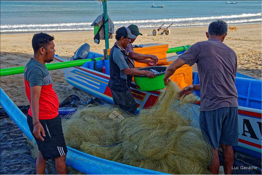 3 Les porteurs et les vendeuses prennent alors le poisson en charge... (Jimbaran). (6)