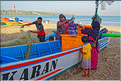 3 Les porteurs et les vendeuses prennent alors le poisson en charge... (Jimbaran). (10)