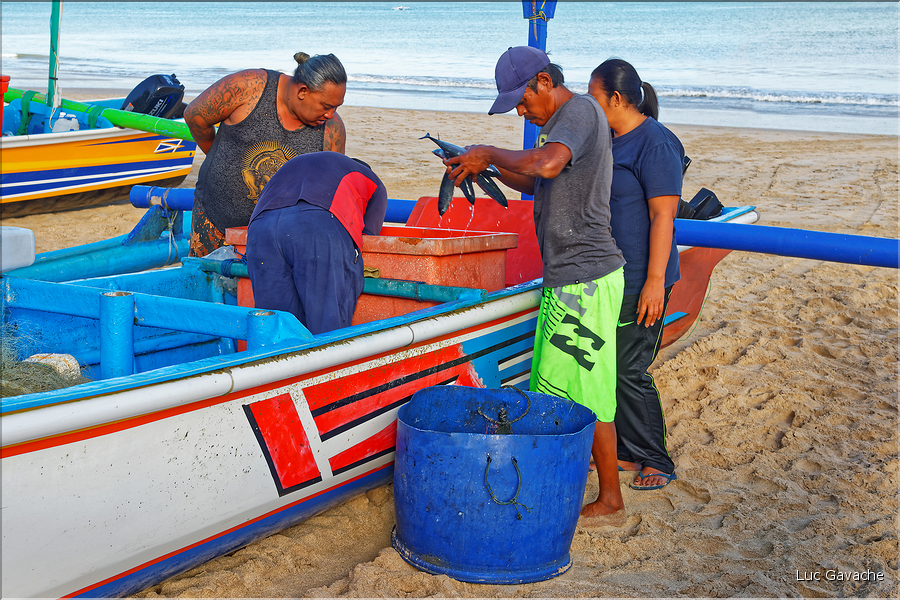 3 Les porteurs et les vendeuses prennent alors le poisson en charge... (Jimbaran). (11)