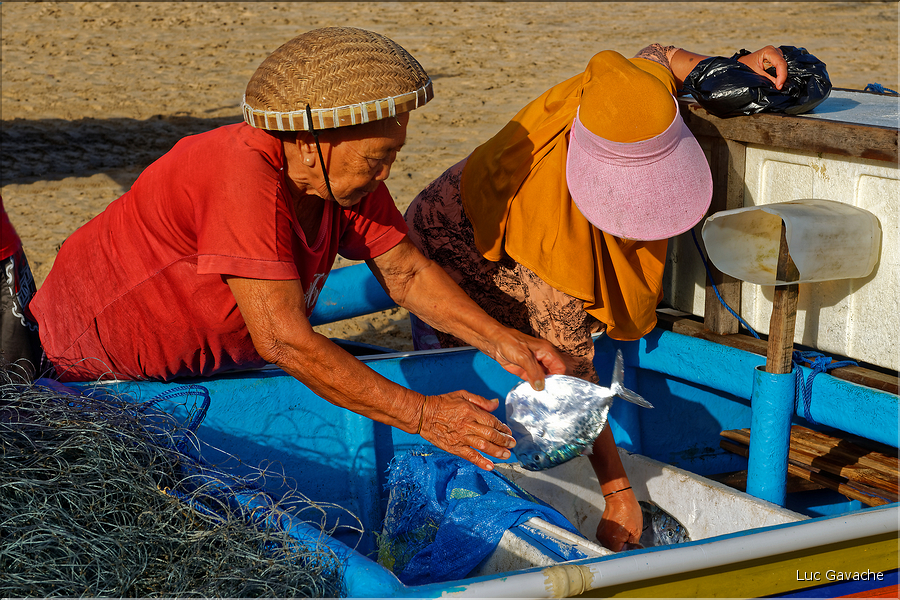 3 Les porteurs et les vendeuses prennent alors le poisson en charge... (Jimbaran). (18)