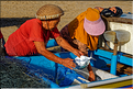 3 Les porteurs et les vendeuses prennent alors le poisson en charge... (Jimbaran). (18)