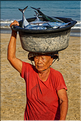 3 Les porteurs et les vendeuses prennent alors le poisson en charge... (Jimbaran). (21)