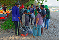 5 Les ventes de poissons se font également sur la plage de Jimbaran. (2)