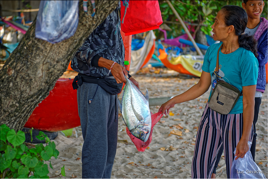 5 Les ventes de poissons se font également sur la plage de Jimbaran. (3)
