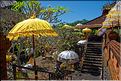 11 Le temple de Pura Taman Pule magnifiquement décoré pour la fête de Galungan. (16)