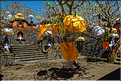 11 Le temple de Pura Taman Pule magnifiquement décoré pour la fête de Galungan. (20)