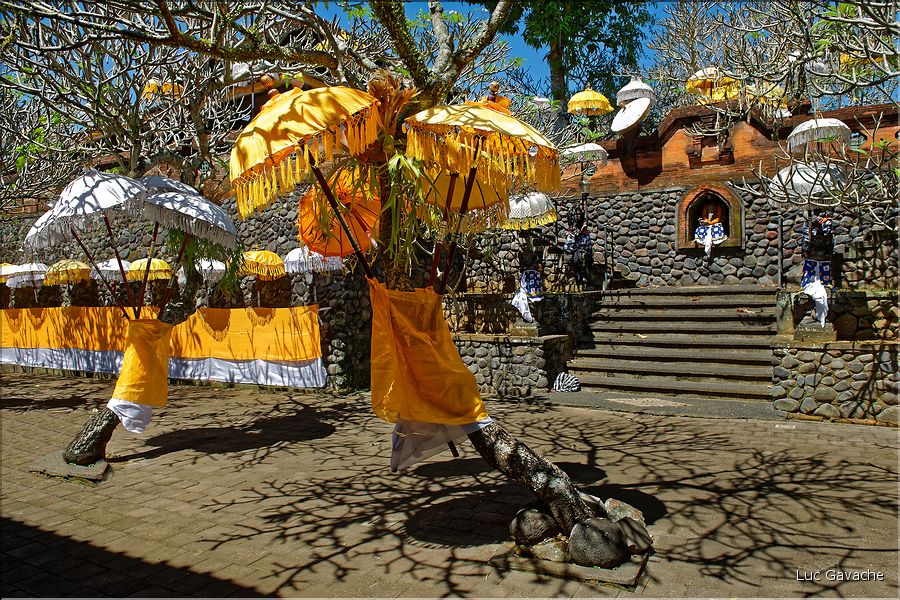 11 Le temple de Pura Taman Pule magnifiquement décoré pour la fête de Galungan. (22)