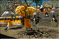 11 Le temple de Pura Taman Pule magnifiquement décoré pour la fête de Galungan. (22)