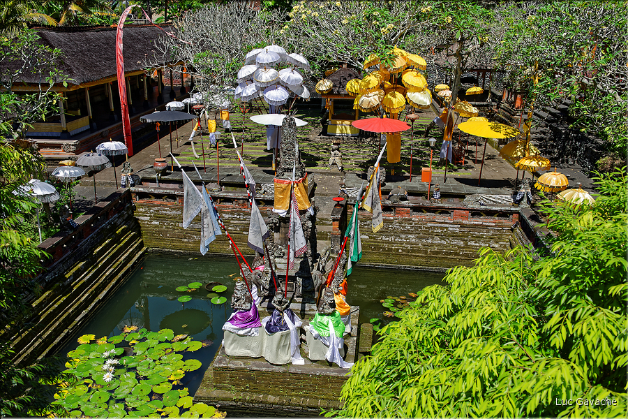 11 Le temple de Pura Taman Pule magnifiquement décoré pour la fête de Galungan. (26)