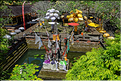 11 Le temple de Pura Taman Pule magnifiquement décoré pour la fête de Galungan. (26)