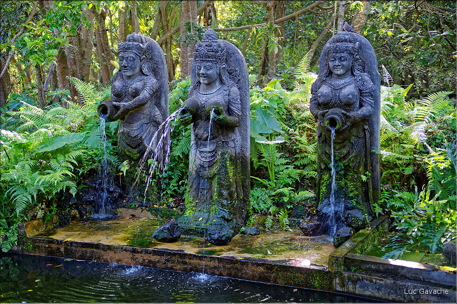 La forêt sacrée des singes, qui est en bordure de la ville d'Ubud, abrite une communauté de macaque gris. (2)