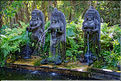 La forêt sacrée des singes, qui est en bordure de la ville d'Ubud, abrite une communauté de macaque gris. (2)