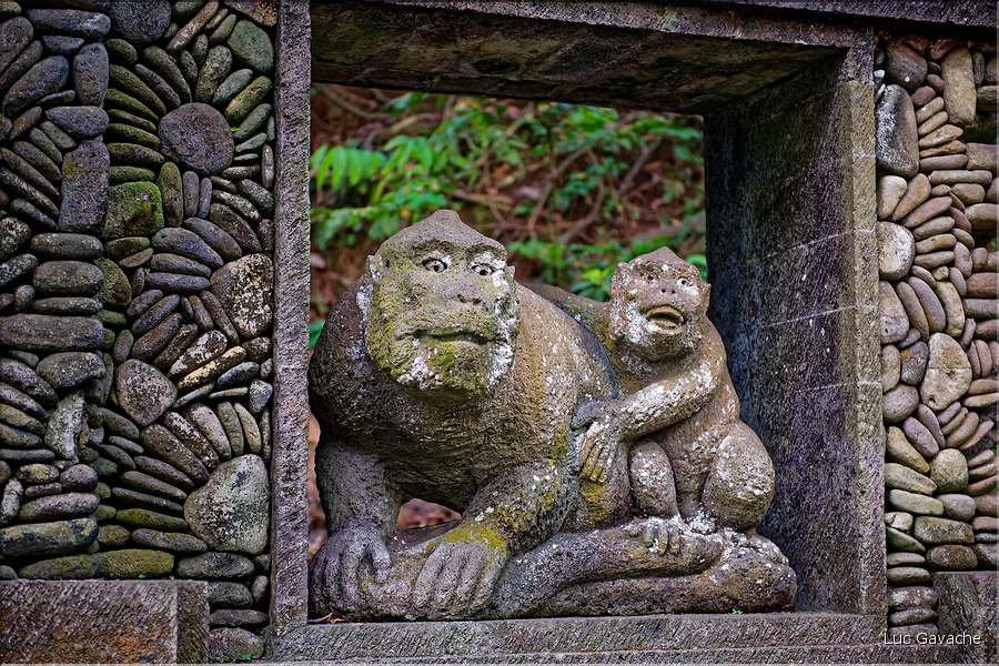La forêt sacrée des singes, qui est en bordure de la ville d'Ubud, abrite une communauté de macaque gris. (22)