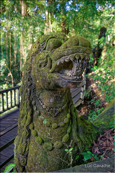 Au cur de la forêt sacrée, on trouve également le temple hindou de Pura Dalem Agung qui est dédié aux mauvais esprits. (3)